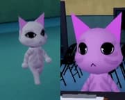 Mismatched Eyes Animal Hospital CCTV anomaly candidate evidence