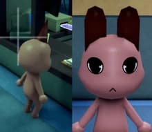 Mismatching Ears Animal Hospital CCTV anomaly candidate evidence